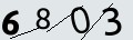 verifycode